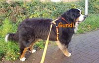 Gundi